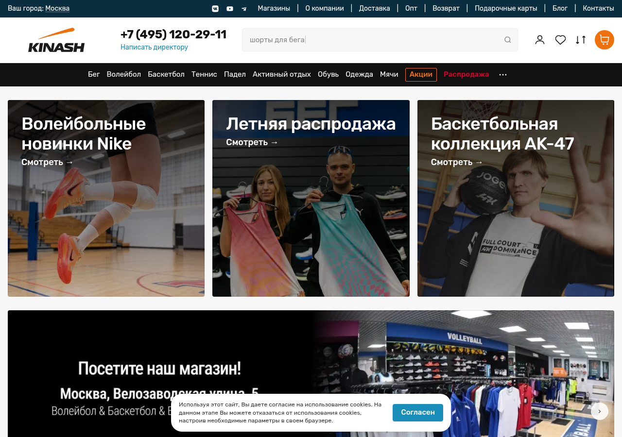 Главная страница kinash.ru