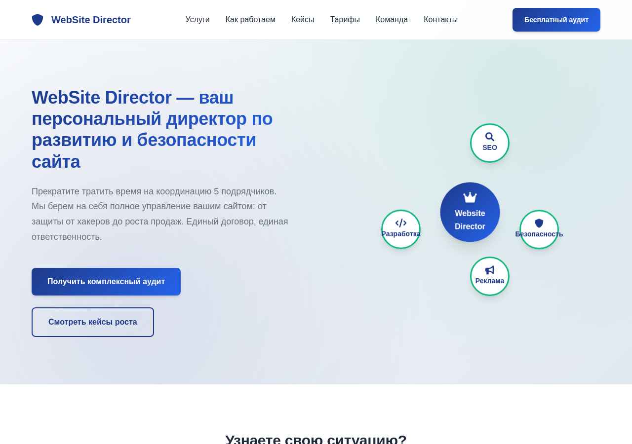 Главная страница websitedirector.ru